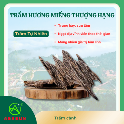 Trầm hương miếng thượng hạng - Agasun